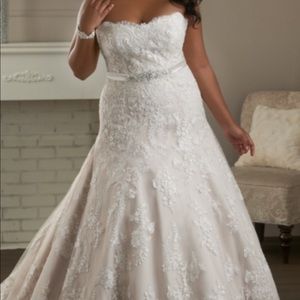 Plus size:Dress champagne ivory overlay. Size 22